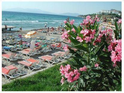 Rosy Hotel Kusadası Zewnętrze zdjęcie